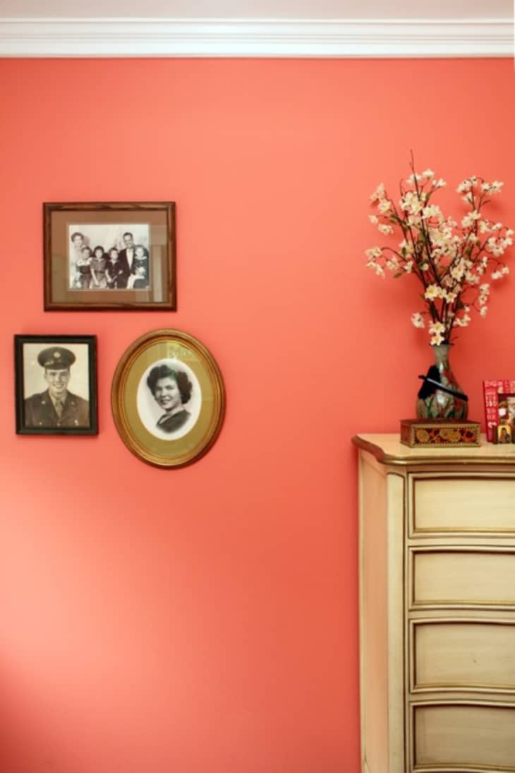 Pantone Color of the Year 2019 Coral Paint Matches Apartment Therapy